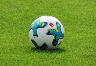 德甲球队体能教练科学管理提高球员出勤率，德甲球队主教练